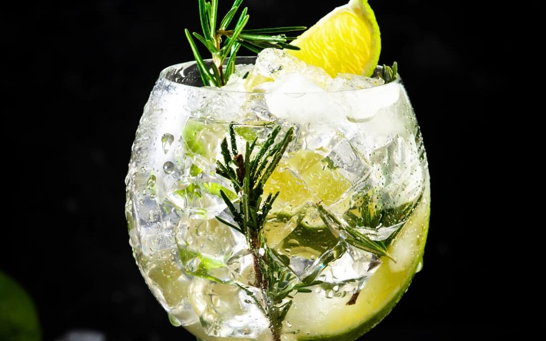 Die 8 besten Gin Bars in Wien